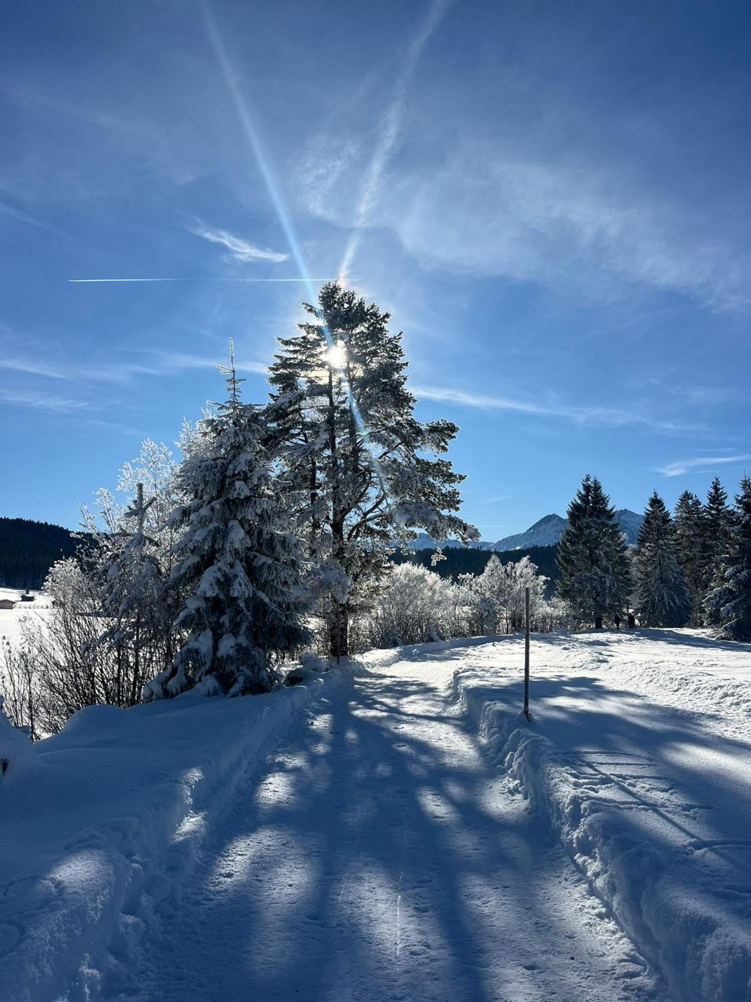 זיפלד אין טירול Alpenlandhaus Menardi מראה חיצוני תמונה